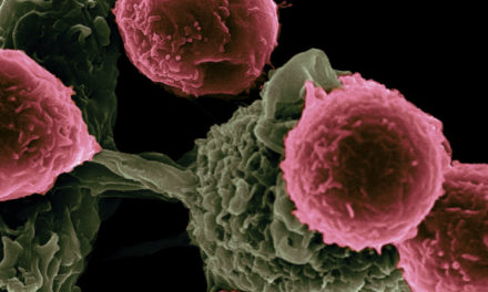 WuGen raises $172 Million for cancer treatment trials