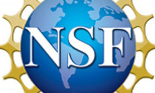 NSF SBIR Interactive Workshop