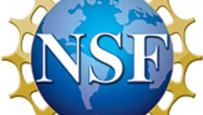 NSF SBIR Interactive Workshop