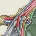 Clinical Trial Launch Nears After Triple Regulatory Win