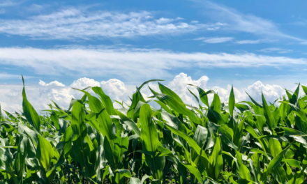 Crop Tech Startup Plants Its First U.S. Field Trial