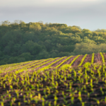 Soil Biology Startup Lands First Distribution Deal