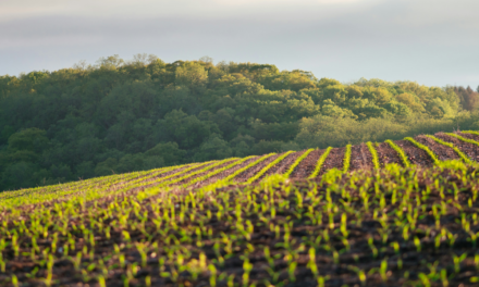 Soil Biology Startup Lands First Distribution Deal