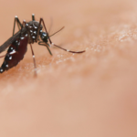 Insecticide startup locks in customers across three markets