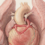 Forbes 30 Under 30 Scientist Builds Lab Models to Cut Drug Development Time