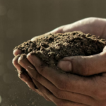 Soil Tech Firm Hits Beta With New Farm Alert System
