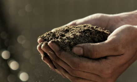 Soil Tech Firm Hits Beta With New Farm Alert System